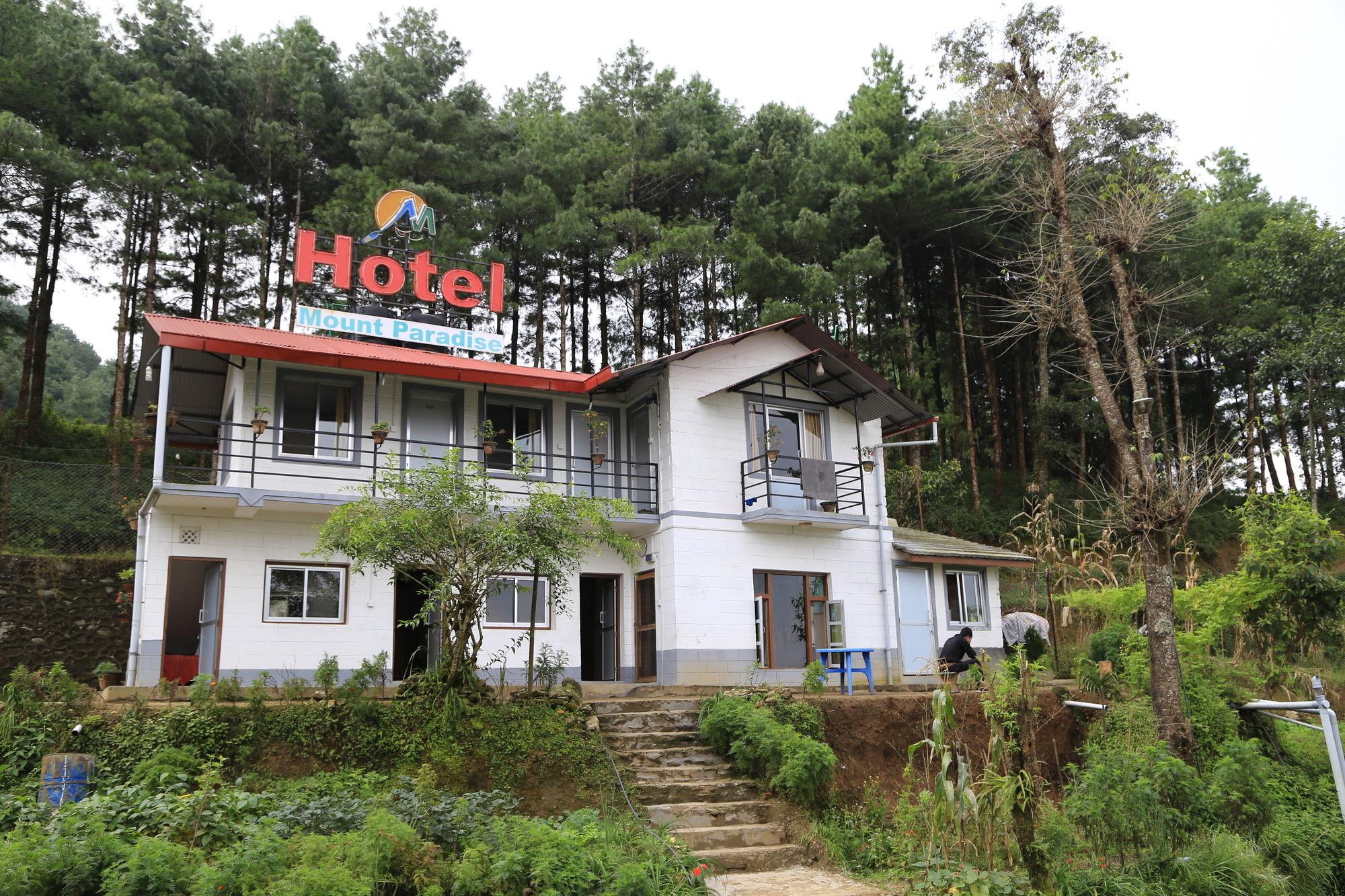 Hotel Mount Paradise Нагаркот Экстерьер фото